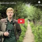 Video interview waar ecoloog en vogelonderzoeker Cornelis te zien is