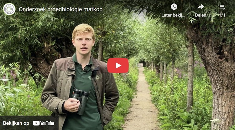 Video interview waar ecoloog en vogelonderzoeker Cornelis te zien is