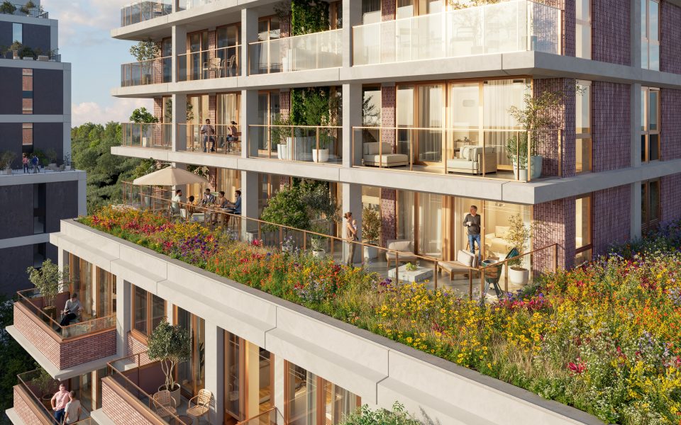Voorbeeld natuurinclusief bouwen Johan Greivestraat Amsterdam