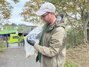 Stefan hanteert een muis uit de uitgezette val in de Hoeksche Waard