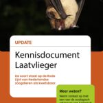 Kennisdocument laatvlieger
