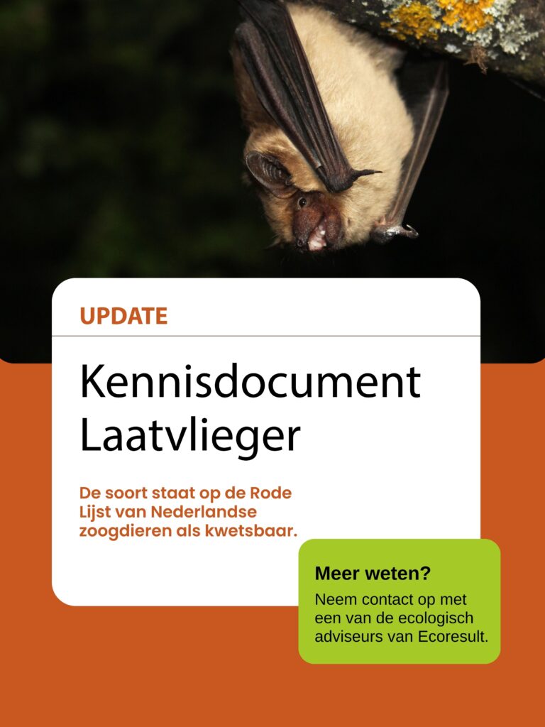 Kennisdocument laatvlieger