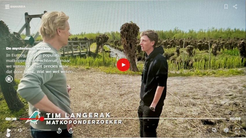 Still uit TV uitzending Vroege Voegels interview met Tim Langerak van Ecoresult over matkop.